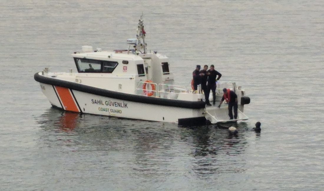 Bartın’ın Amasra ilçesinde denizdeki hayvan leşi, toprağa gömülmek üzere Sahil