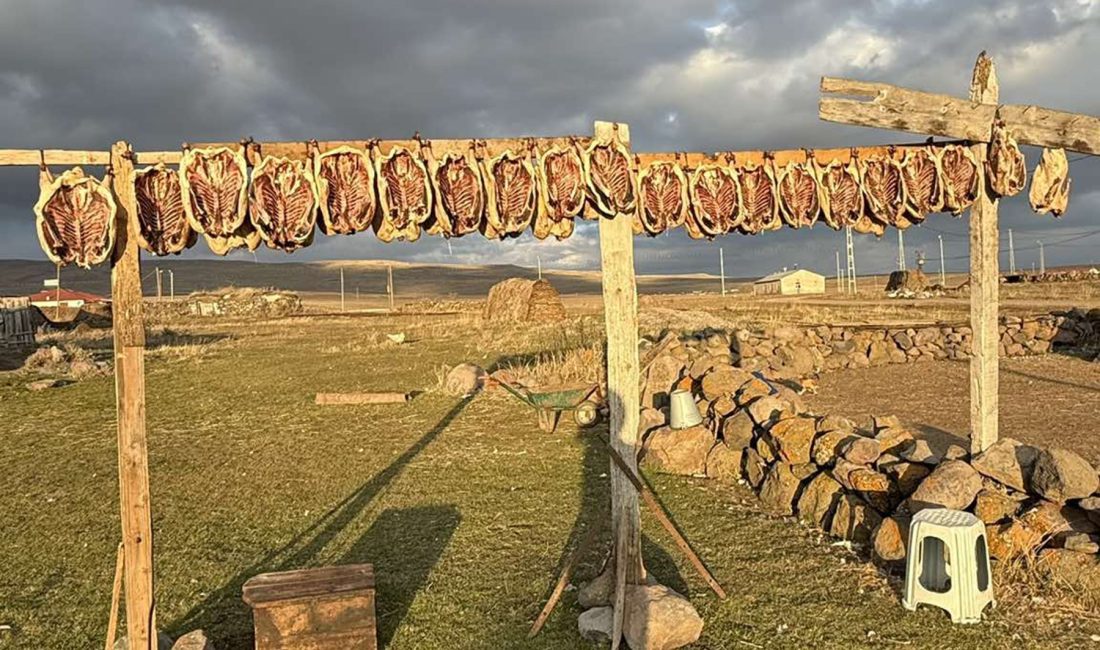 Soğuk iklimi ve geleneksel üretim yöntemleriyle Kars, kaz yetiştiriciliğinde önemli