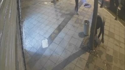 Tekirdağ’ın Süleymanpaşa ilçesinde at arabasıyla demir mazgalları çalan şüpheliler, güvenlik