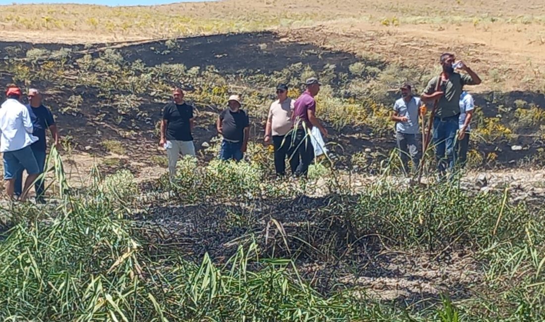 Tunceli’nin Pertek ilçesinde ekili alanda çıkan yangın, belediye ekipleri ve