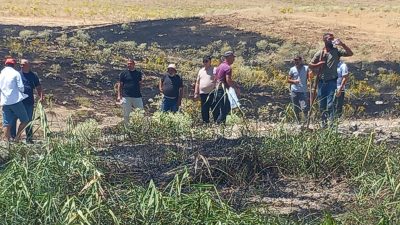 Tunceli’nin Pertek ilçesinde ekili alanda çıkan yangın, belediye ekipleri ve