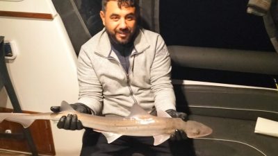 Muğla'nın Bodrum ilçesi açıklarında amatör balıkçının oltasına camgöz cinsi köpek