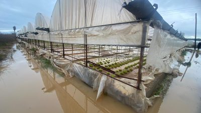 Antalya'da etkili olan sağanak yağışlar Aksu ilçesi Güzelyurt Mahallesi İncikpınar