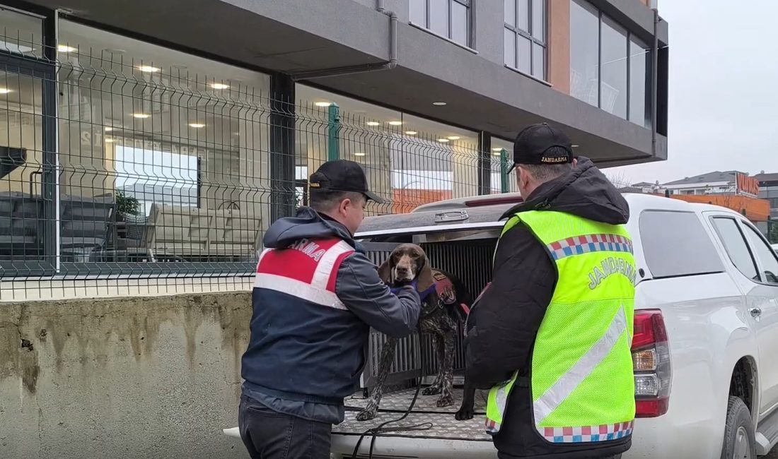 Düzce'de "suç işlemek amacıyla örgüt kurmak" ve "uyuşturucu madde ticareti"