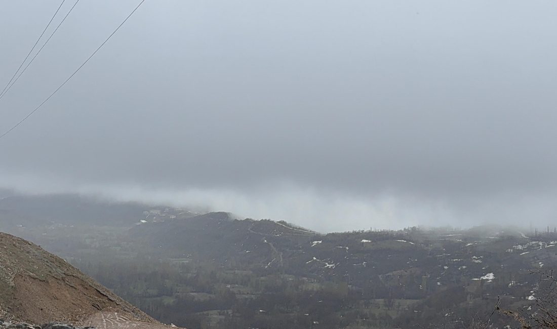 Bitlis'in Hizan ilçesinde etkili olan yoğun sis hayatı olumsuz etkiledi.