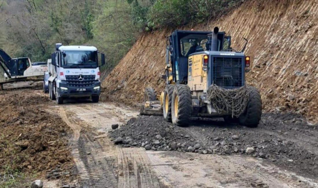 Sinop'un Türkeli ilçesine bağlı Taşgüney Köyü yolunda meydana gelen heyelan