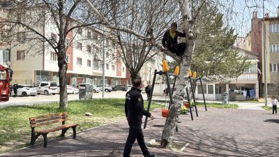 Sivas'ta dallara takılan topunu almak için ağaca çıkan çocuk inemeyince