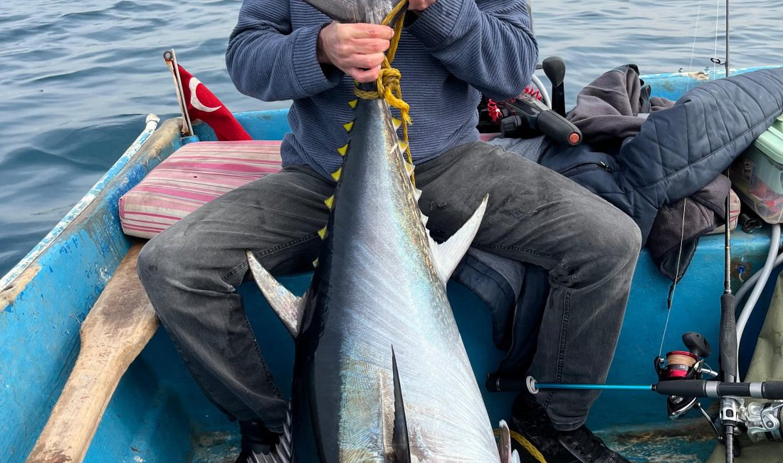 Hatay'da hobi olarak olta balıkçılığı yapan öğretmen Murat Çengel, devasa