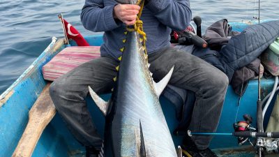Hatay'da hobi olarak olta balıkçılığı yapan öğretmen Murat Çengel, devasa