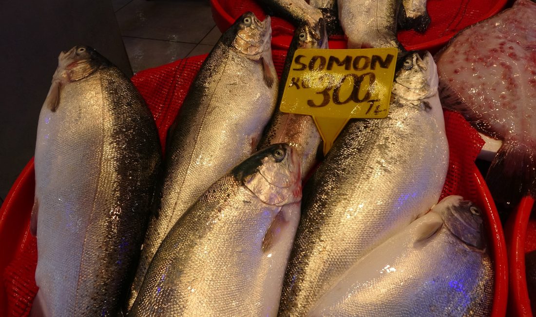 Türkiye'de 15 Nisan itibariyle denizlerde av yasağının başlamasının ardından balık