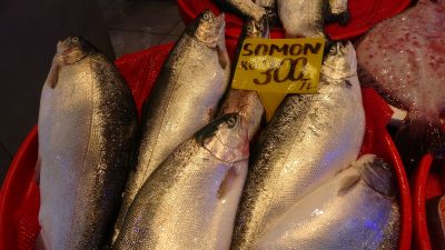 Türkiye'de 15 Nisan itibariyle denizlerde av yasağının başlamasının ardından balık