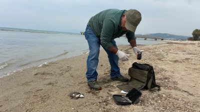 Aydın’ın Kuşadası ilçesinde biri yeşil deniz kaplumbağası, diğeri iribaşlı deniz