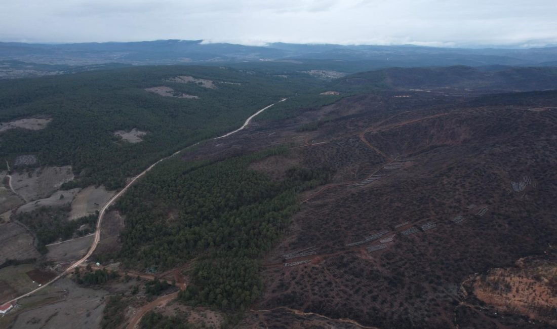 Bursa'da yakın tarihin en büyük orman yangınlarından birisi olan ve