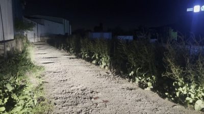 Bursa'nın Gürsu ilçesinde depoya düzenlenen silahlı saldırıda avukat hayatını kaybetti,