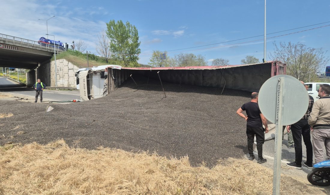 Tekirdağ'ın Süleymanpaşa ilçesinde ayçiçeği çekirdeği yüklü tırın devrilmesi sonucu tonlarca