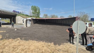 Tekirdağ'ın Süleymanpaşa ilçesinde ayçiçeği çekirdeği yüklü tırın devrilmesi sonucu tonlarca