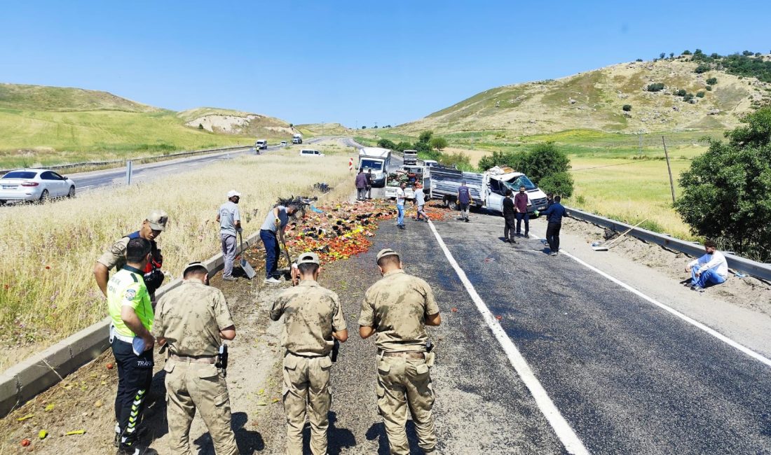 Diyarbakır'ın Silvan ilçesinde meyve ve sebze yüklü kamyonetin seyir halindeyken