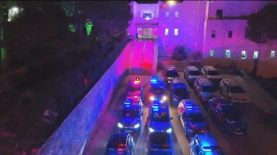 Muğla’nın Bodrum ilçesinde düzenlenen yasadışı bahis operasyonunda 41 kişi gözaltına